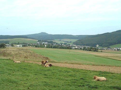 Fliederhof Ferienwohnungen Herresbach Pokoj fotografie
