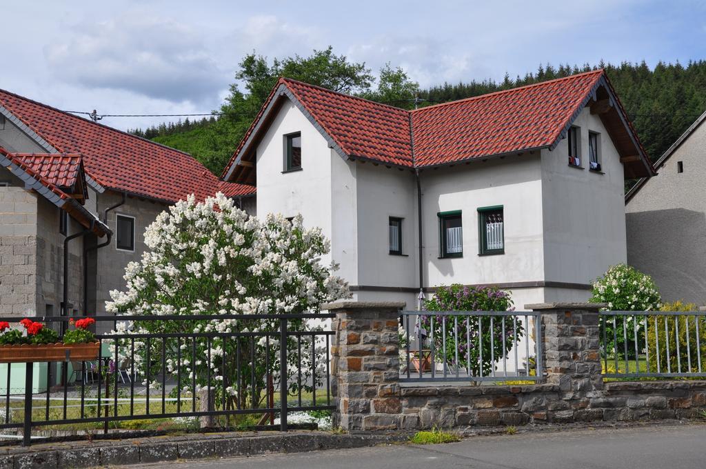 Fliederhof Ferienwohnungen Herresbach Pokoj fotografie